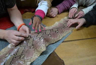 La visite de l'entreprise Daguet